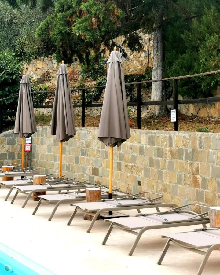 Agriturismo Osteria Du Barba Pe' - Casa Miranda Себорга Екстериор снимка